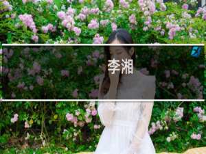 李湘(关于李湘的简介)
