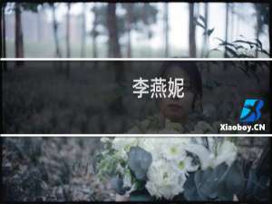 李燕妮(关于李燕妮的简介)