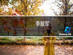 李献军(关于李献军的简介)