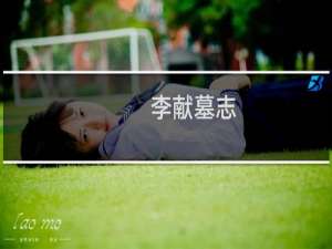 李献墓志(关于李献墓志的简介)