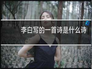 李白写的一首诗是什么诗