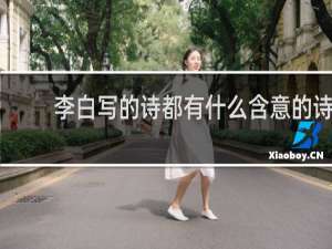 李白写的诗都有什么含意的诗