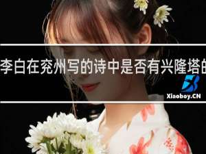 李白在兖州写的诗中是否有兴隆塔的表述