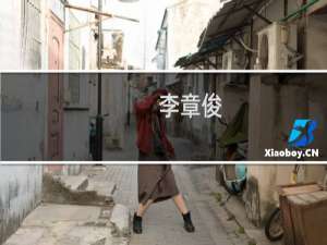 李章俊(关于李章俊的简介)