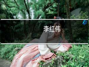 李红伟(关于李红伟的简介)