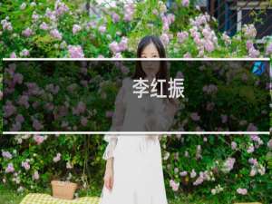 李红振(关于李红振的简介)