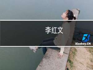 李红文(关于李红文的简介)