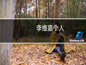 李维嘉个人（李维嘉的基本资料）