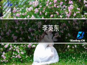 李英东(关于李英东的简介)