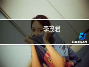 李茂君(关于李茂君的简介)