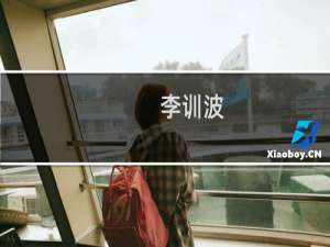 李训波(关于李训波的简介)