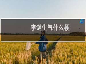 李诞生气什么梗