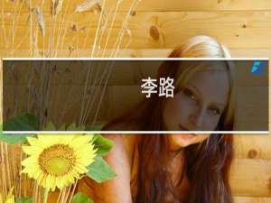 李路(关于李路的简介)