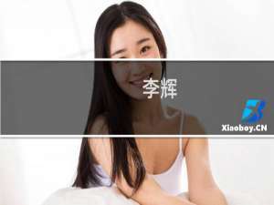 李辉(关于李辉的简介)
