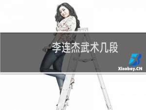 李连杰武术几段