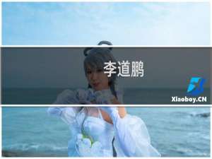 李道鹏(关于李道鹏的简介)