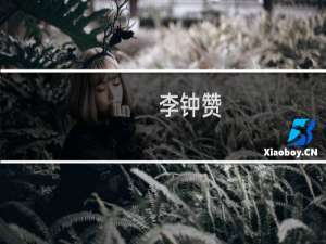 李钟赞(关于李钟赞的简介)