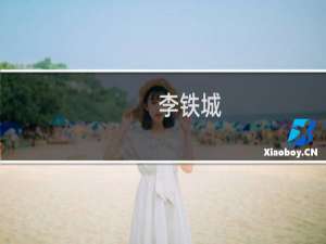 李铁城(关于李铁城的简介)