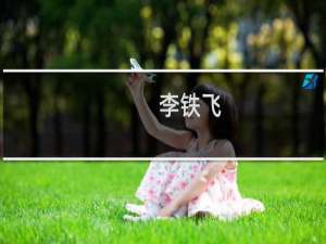 李铁飞(关于李铁飞的简介)