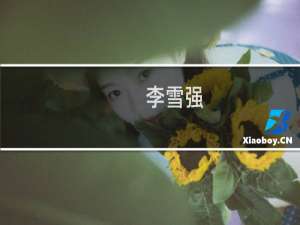 李雪强(关于李雪强的简介)