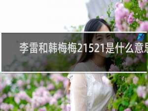 李雷和韩梅梅21521是什么意思