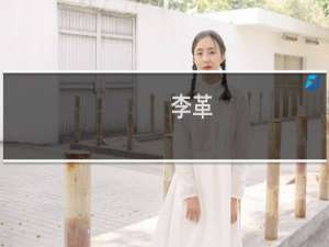 李革(关于李革的简介)