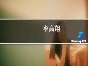 李高翔(关于李高翔的简介)