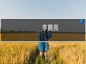 李鹏亮(关于李鹏亮的简介)