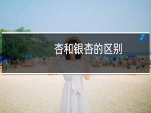 杏和银杏的区别