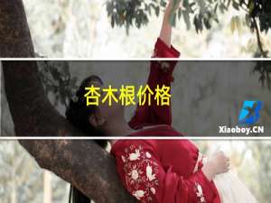 杏木根价格