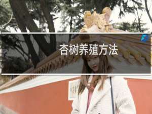 杏树养殖方法