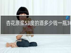杏花原浆53度的酒多少钱一瓶30年