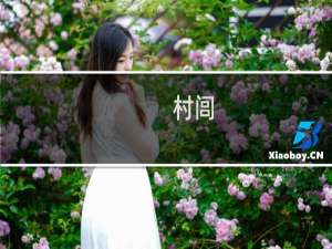 村闾(关于村闾的简介)