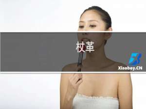 杖革(关于杖革的简介)