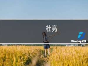 杜亮(关于杜亮的简介)