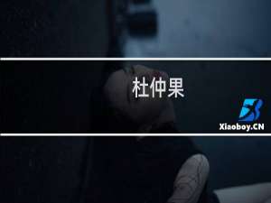 杜仲果(关于杜仲果的简介)