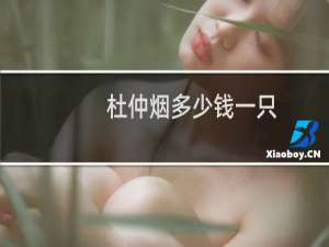杜仲烟多少钱一只