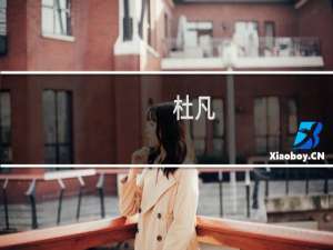 杜凡(关于杜凡的简介)