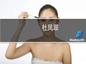 杜凤翠(关于杜凤翠的简介)