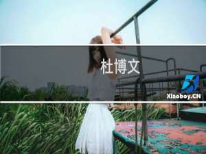 杜博文(关于杜博文的简介)