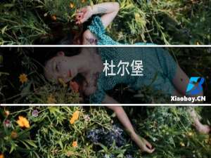 杜尔堡(关于杜尔堡的简介)