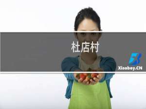 杜店村(关于杜店村的简介)