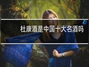 杜康酒是中国十大名酒吗