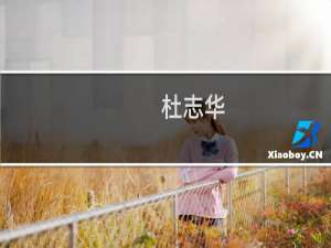 杜志华(关于杜志华的简介)
