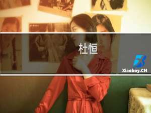 杜恒(关于杜恒的简介)