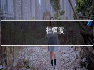杜恒波(关于杜恒波的简介)