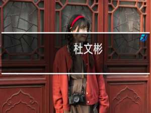 杜文彬(关于杜文彬的简介)