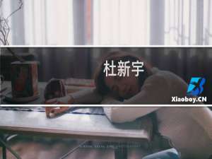 杜新宇(关于杜新宇的简介)