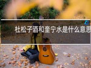 杜松子酒和奎宁水是什么意思