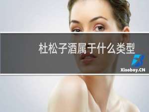 杜松子酒属于什么类型